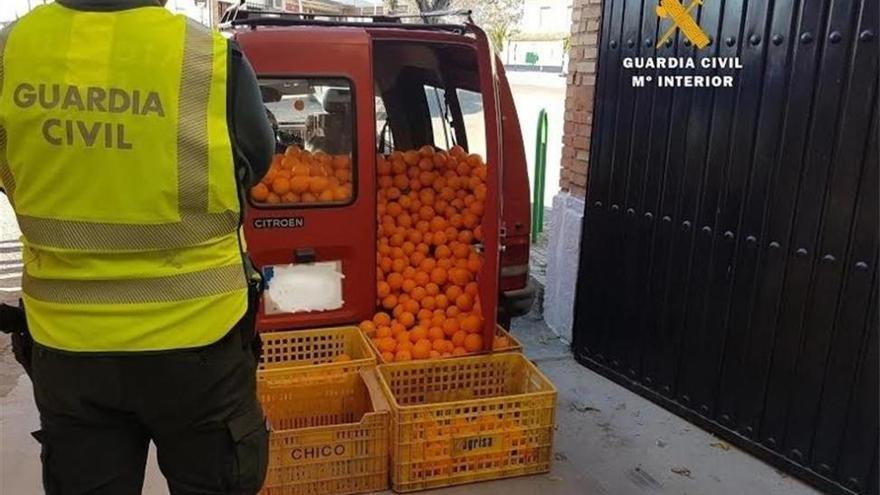 La Guardia Civil investiga a cuatro personas acusadas de robar 530 kilos de naranjas