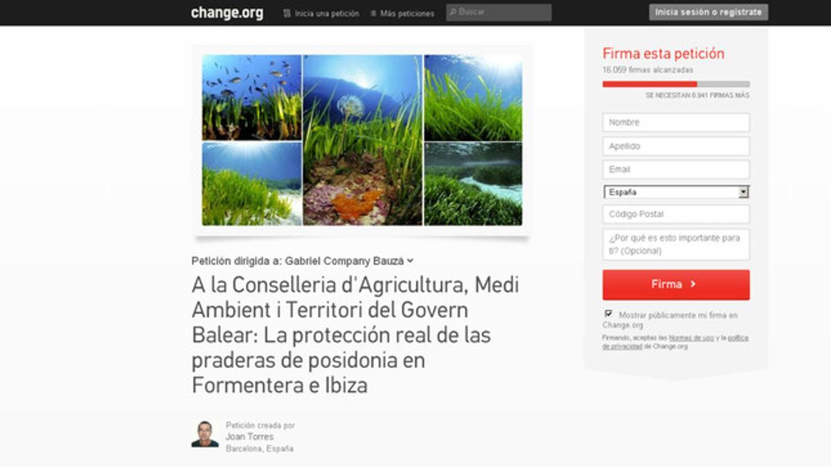 Más de 16.000 firmas para salvar las praderas de posidonia en Baleares