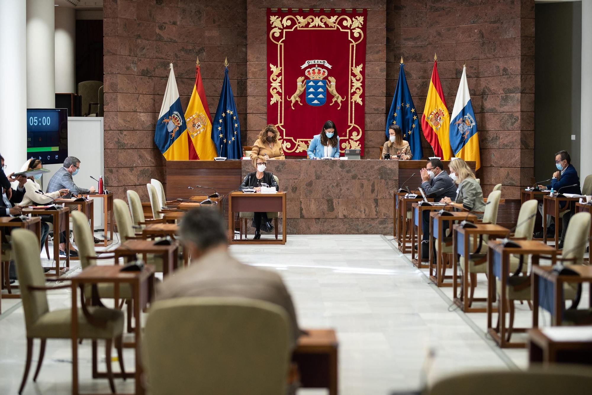 La consejera de Economía, Conocimiento y Empleo, Elena Máñez, comparece en comisión parlamentaria para hablar del plan de rescate a los sectores económicos ante el impacto de la covid-19.