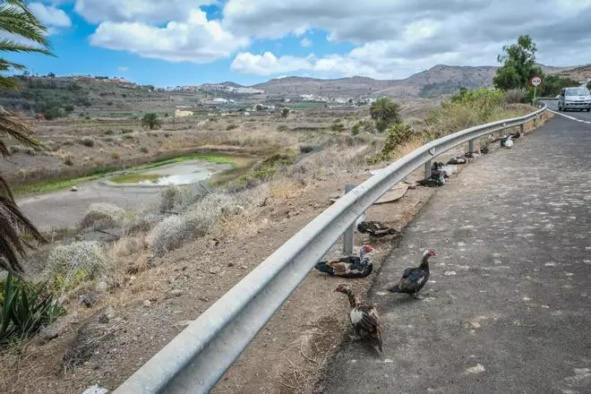Urbanismo negocia con dos propietarios la compra de ocho charcas en San Lorenzo