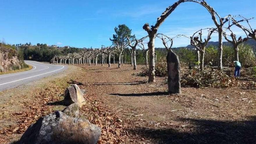 Cerdedo-Cotobade acondiciona el área de Soldada