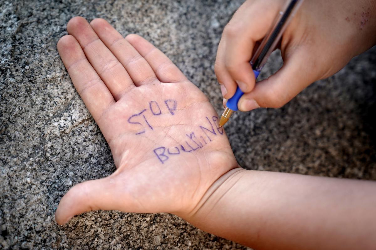 "És necessari donar visibilitat al 'bullying' silenciós, més difícil de detectar" "És necessari donar visibilitat al 'bullying' silenciós, més difícil de detectar"
