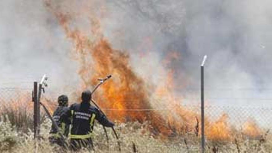 Fuego en las traseras del Carrefour de Cáceres