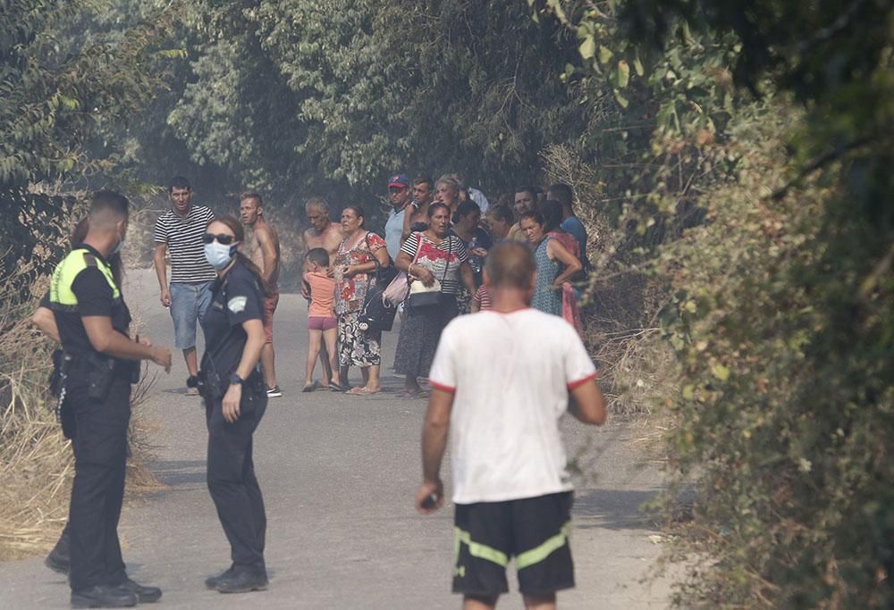 Incendio en el Camino de Carbonell junto a un asentamiento