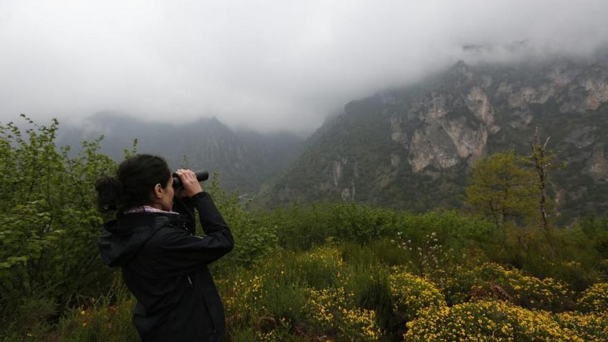 Brusca caída de temperaturas y nieve a 800 metros para despedir abril