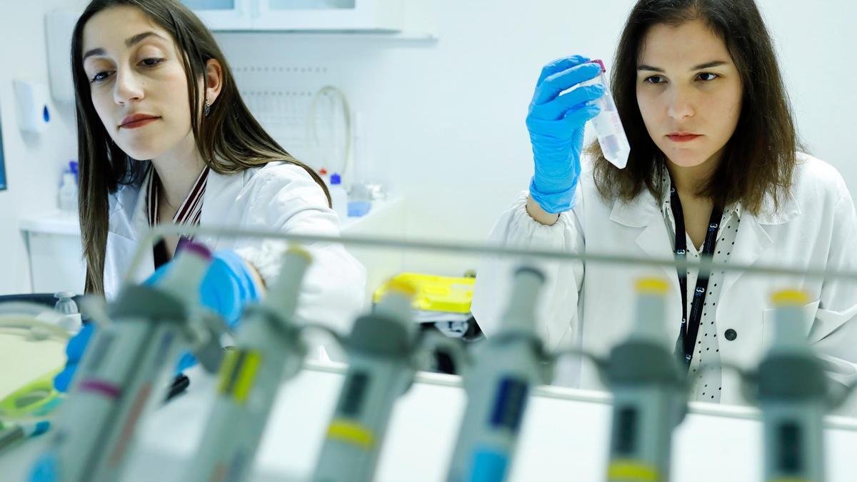 La participación femenina en titulaciones STEM universitarias se sitúa en el 35,7 %, con especial desigualdad en ingenierías y tecnologías de la información