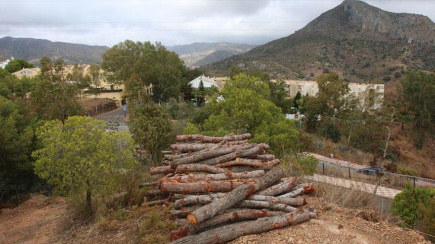 Vista de Cerrado de Calderón tras la tala de árboles llevada a cabo por el Ayuntamiento.