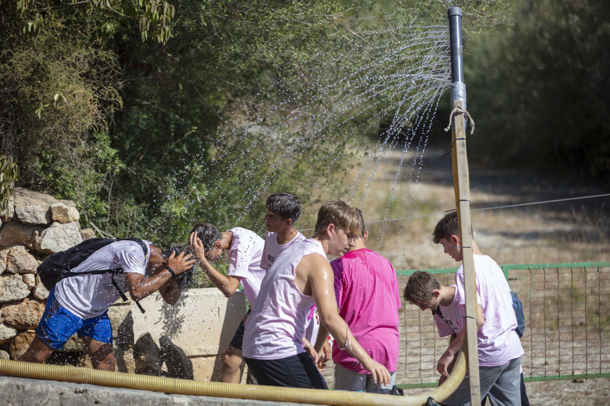 Der "Much" ist wieder da - so sieht es beim verrücktesten Dorffest von Mallorca aus