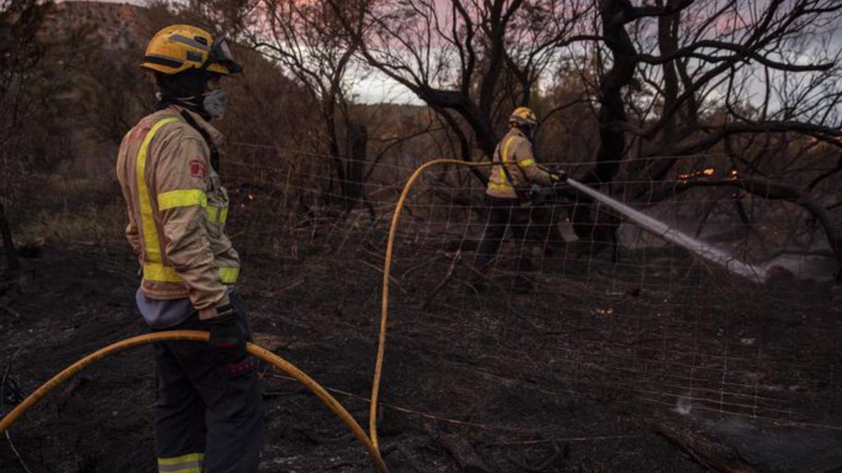 Un incendi crema unes 16 hectàrees al parc del Montgrí  | DAVID APARICIO 