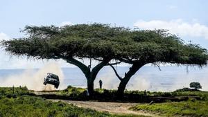 Espléndida imagen del Rally Safari, que lidera el campeón Kalle Rovanperä