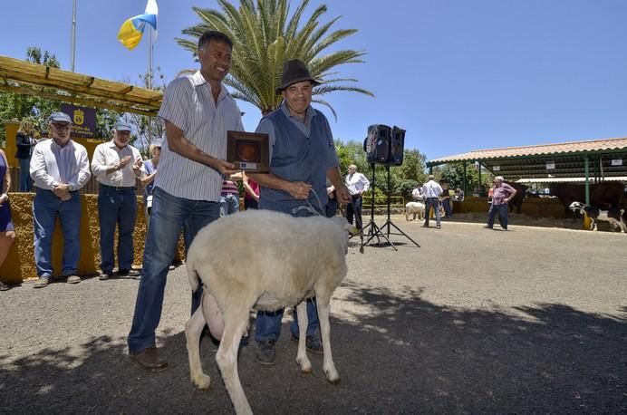 ARUCAS GRAN CANARIA A 28/05/2017 Entrega de premios concurso de ganado del Cabildo de Gran Canaria. FOTO: J.PÉREZ CURBELO