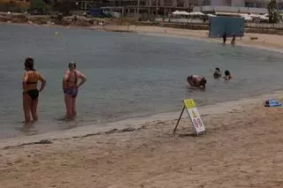 Galería: cerrada al baño la Platja d'en Xinxó por vertidos fecales