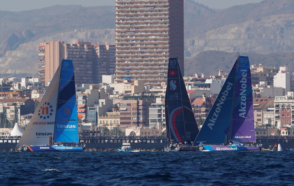 Regata In Port (costera) de Alicante