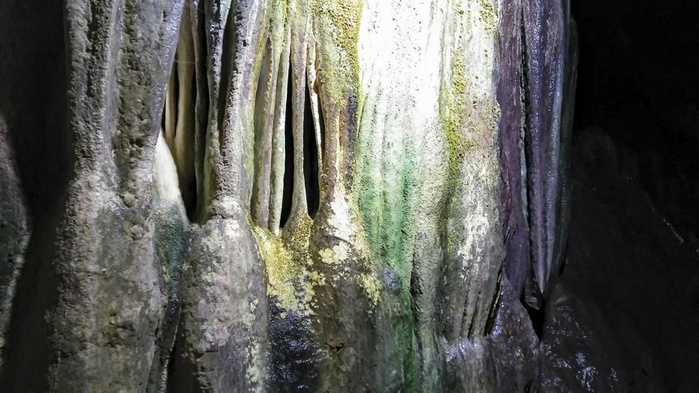 Roca. La naturalesa és la millor escultora que existeix, i així ens ho demostra aquesta imatge feta a la cova de Sant Miquel, a Sant Miquel del Fai.