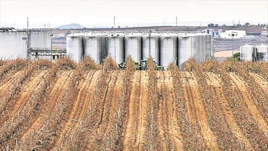 Bruselas propone recortar un 5% los fondos agrícolas desde el 2021