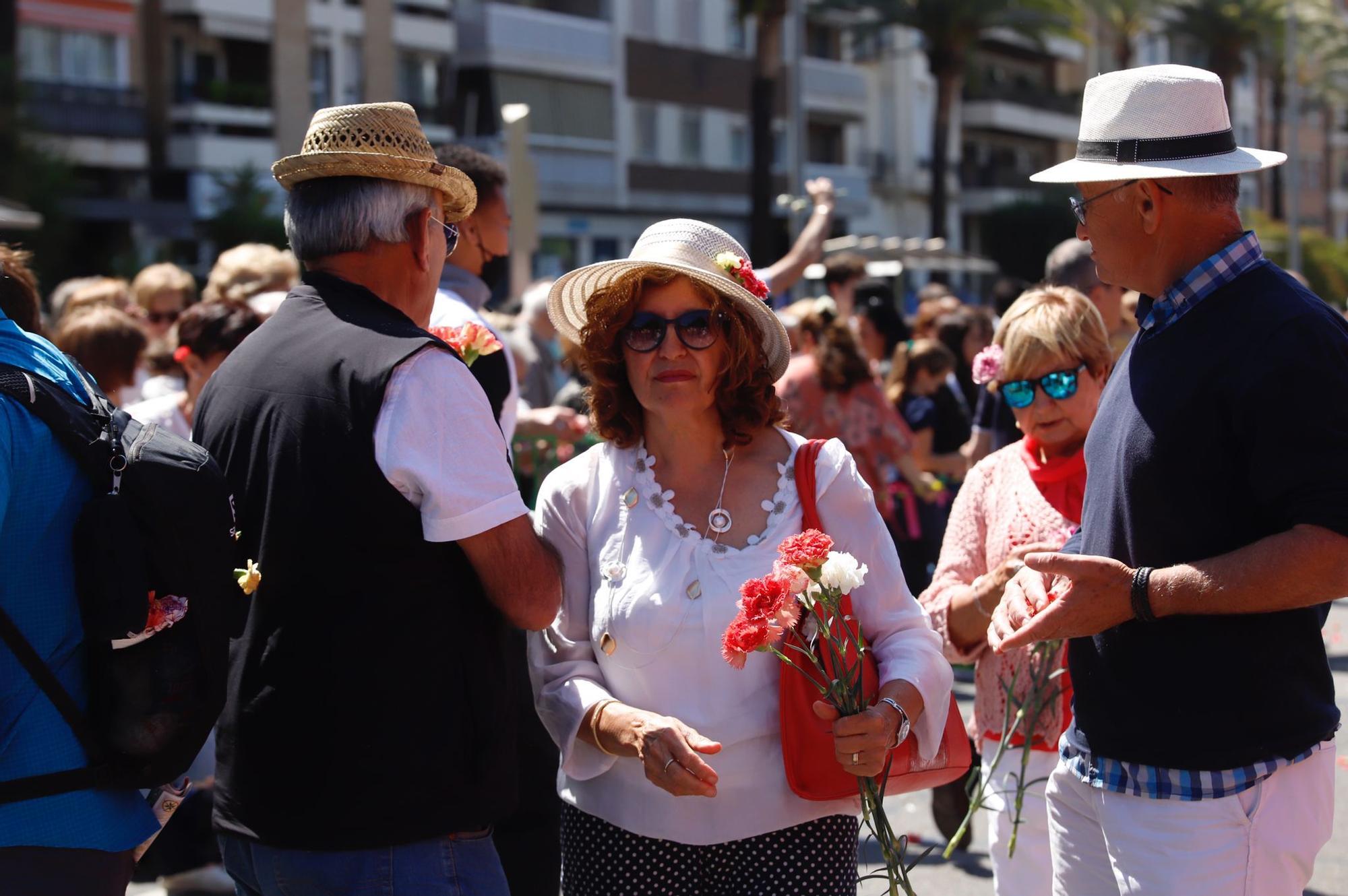 La Batalla de las Flores de Córdoba