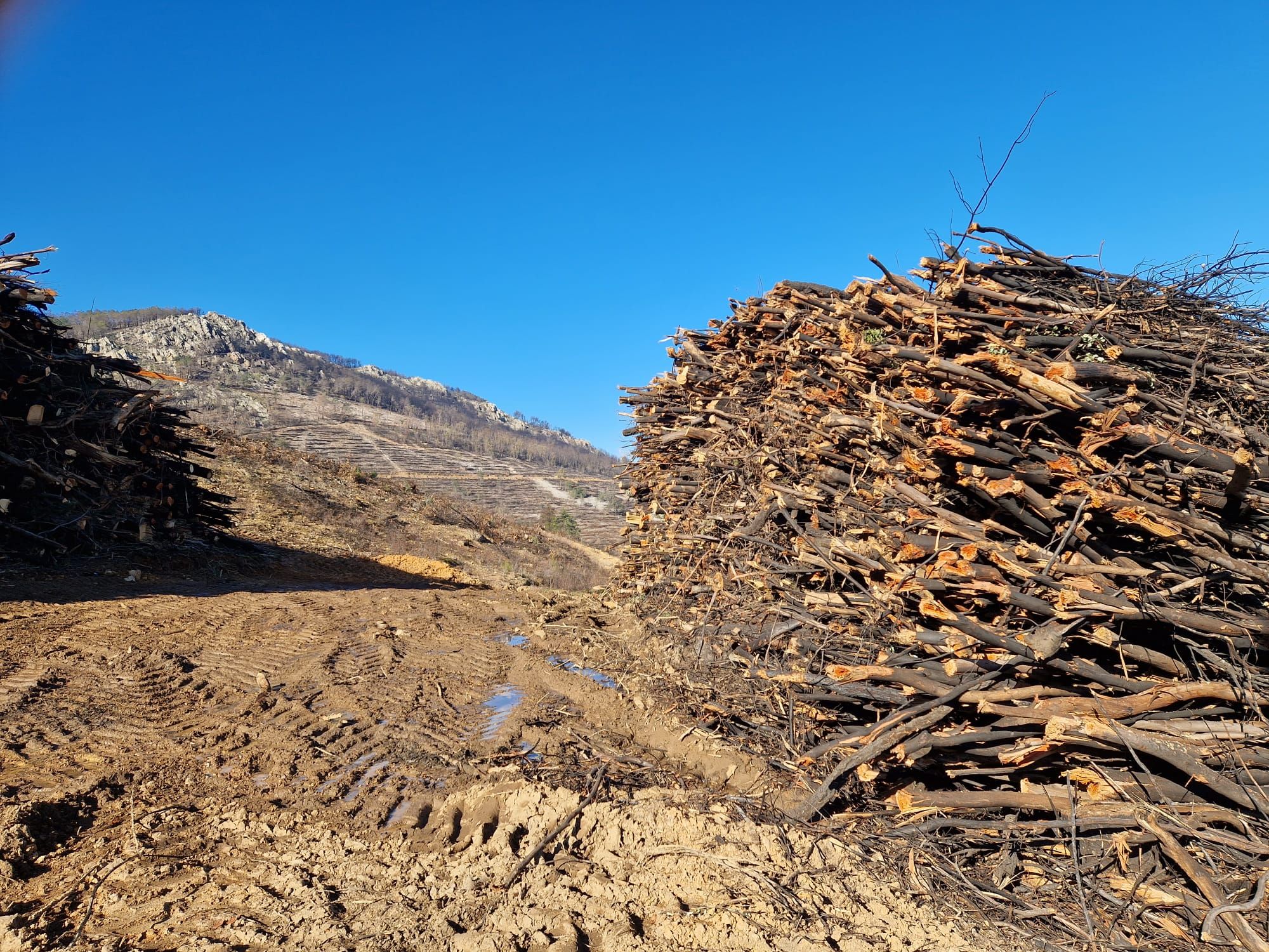 Miravete después del incendio del verano de 2022