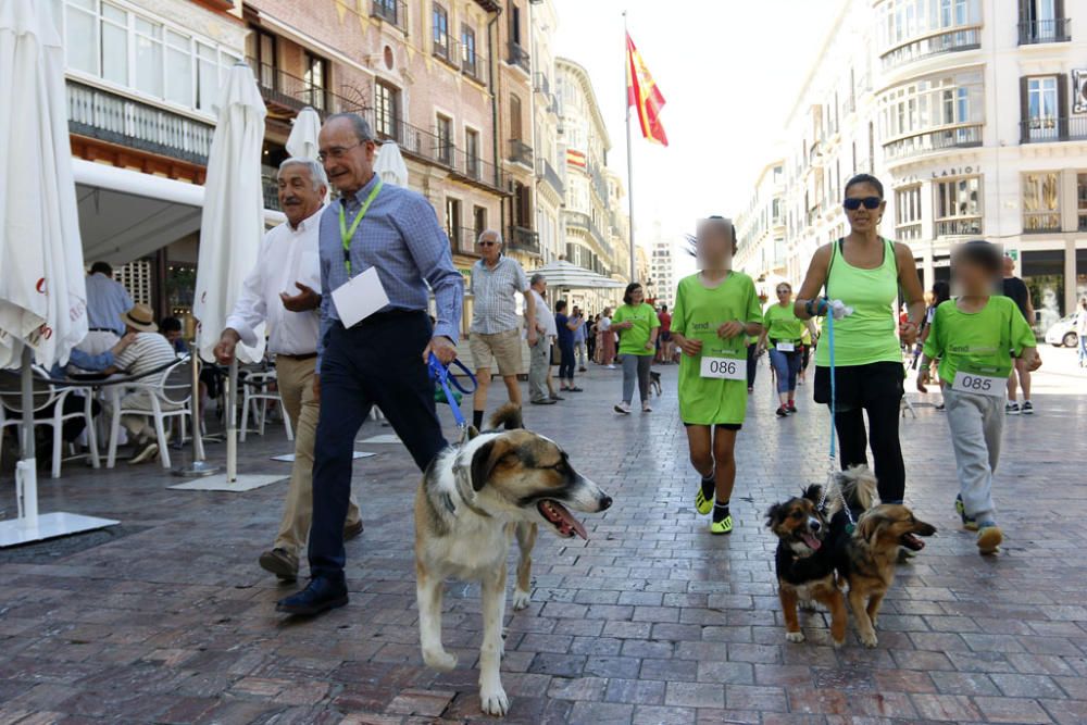 La carrera, con salida y llegada en la plaza de la Marina, ha recorrido la calle Larios, Alcazabilla y calle Granada ante la sorpresa e interés de vecinos y turistas.