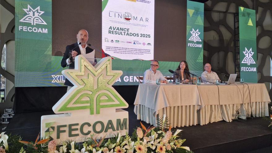 La iniciativa Linomar confirma el valor de las microalgas del Mar Menor y La Albufera como bioestimulantes