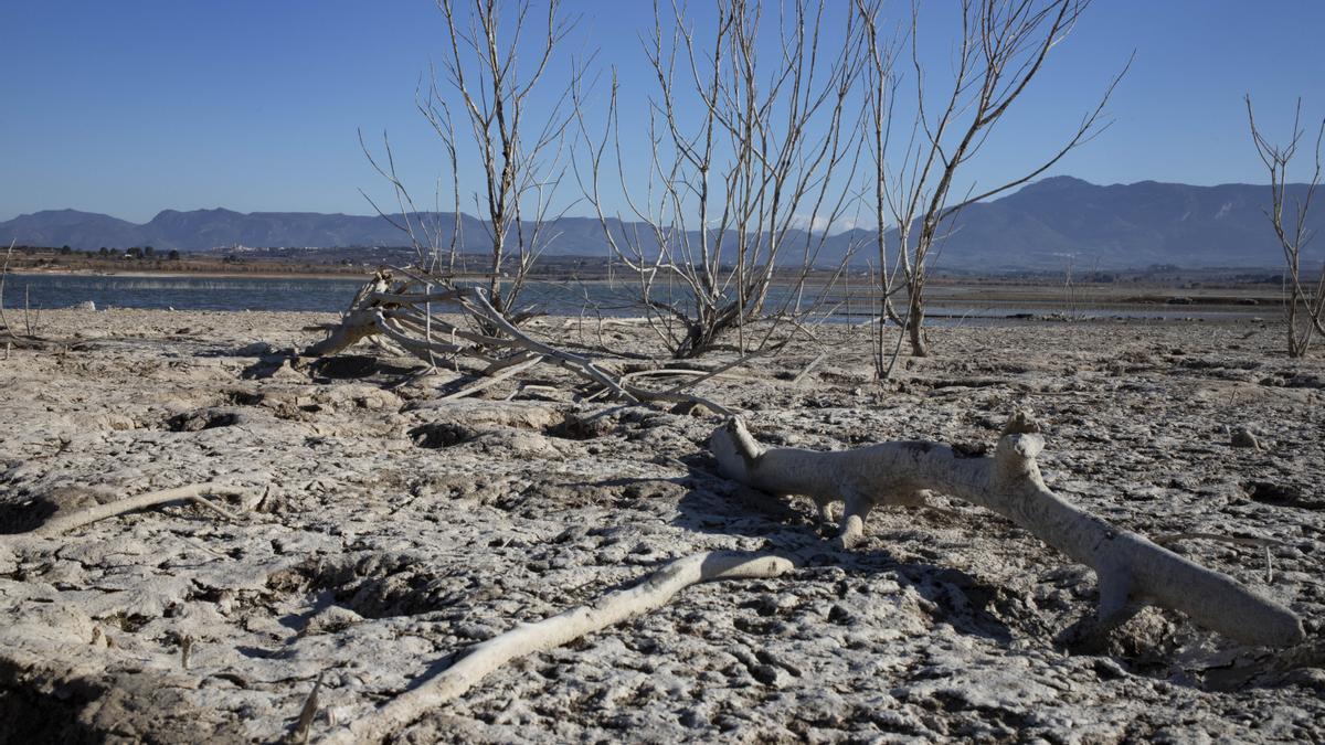 Sequía en el embalse de Bellús por falta de lluvia.