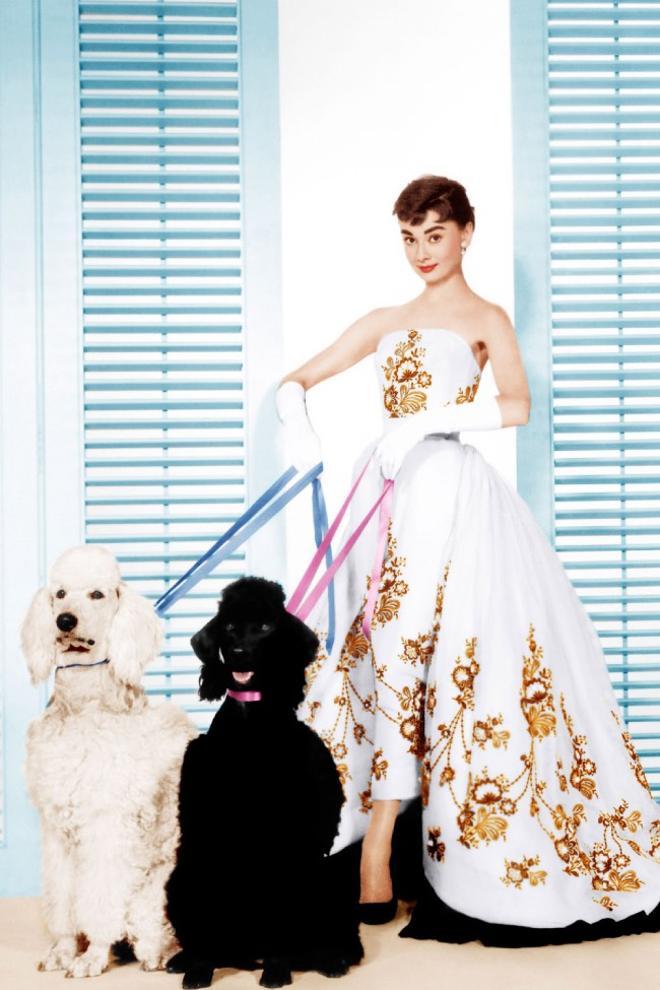 'Sabrina', 1954