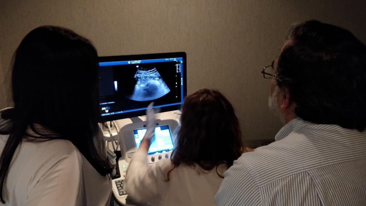 Radiólogos del hospital Reina Sofía instruyen a médicos de Atención Primaria en la realización de ecografías