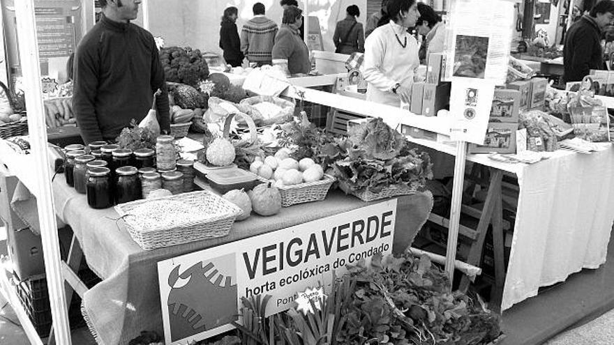 Los alimentos de huerta ecológica son mayoría en Feiraviva.