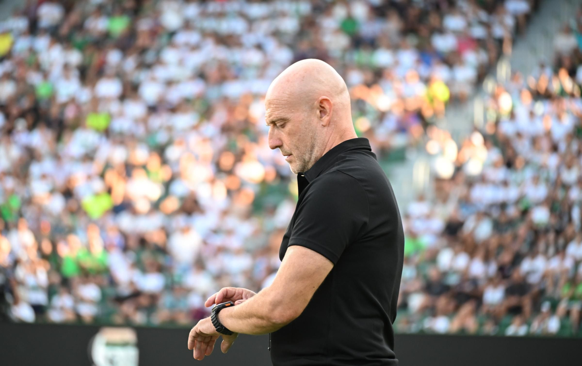 Las mejores imágenes del la victoria del Elche CF frente al Levante (2-0)