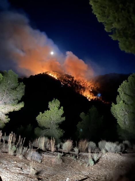 Foco principal del incendio forestal de El Valle.