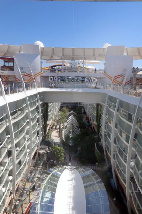 Paseamos por el interior del Harmony of the Seas, el crucero más grande del mundo que hace escala en Málaga.