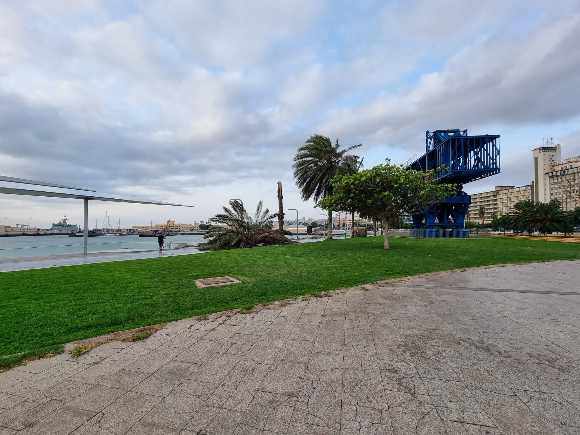 Cae una palmera en el intercambiador del parque Santa Catalina (22/07/21)