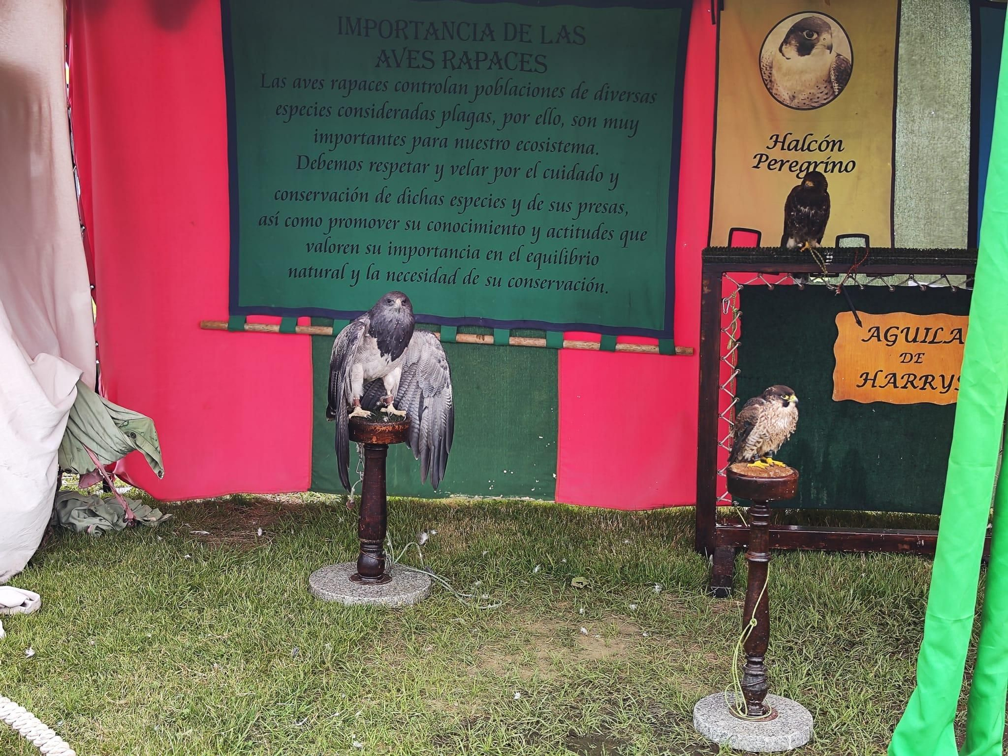 Todo listo para la gran cena y torneo medieval de Llanera