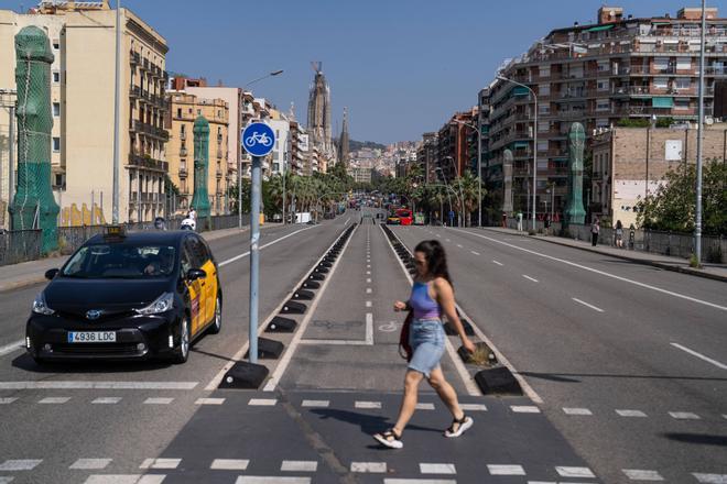 Las obras del puente de Marina alteran el tráfico en el Eixample a partir de este domingo