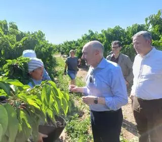 El delegado del Gobierno de Aragón se interesa por la producción de cerezas en Ricla