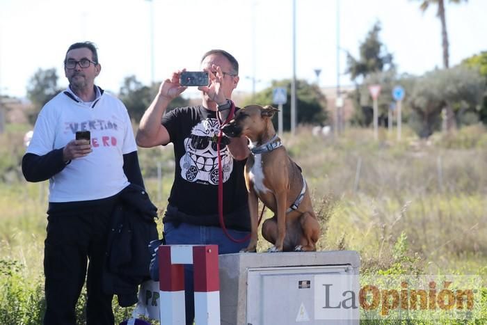 Los Alcázares se echa a la calle para exigir soluciones a las inundaciones