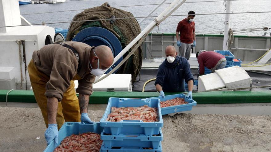 Pescadors descarregant peix i marisc a Palamós, en una imatge de fa uns dies