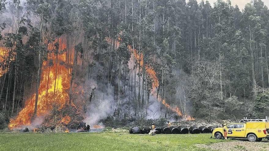 Incendio forestal en la localidad asturiana de San Martín.