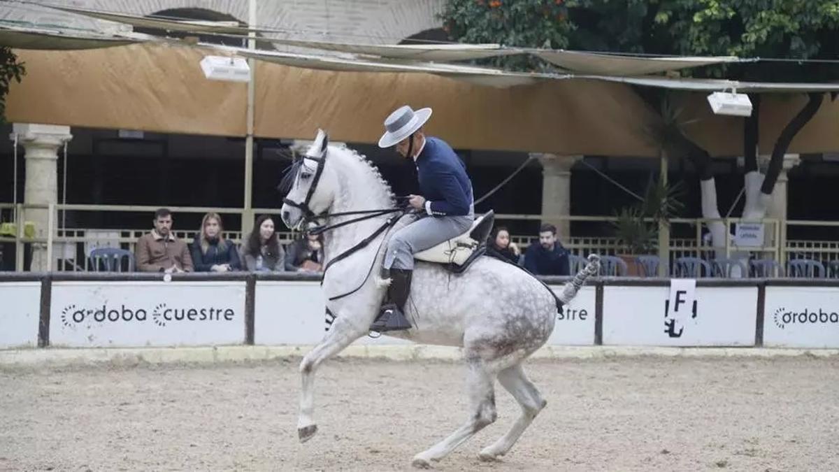 Participante en una edición Copa de Navidad en Caballerizas Reales de Córdoba.