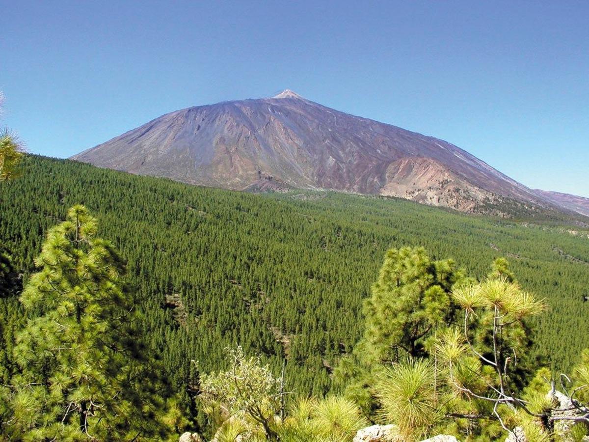 Si vives en Santa Cruz de Tenerife, escapaté al Parque Nacional del Teide