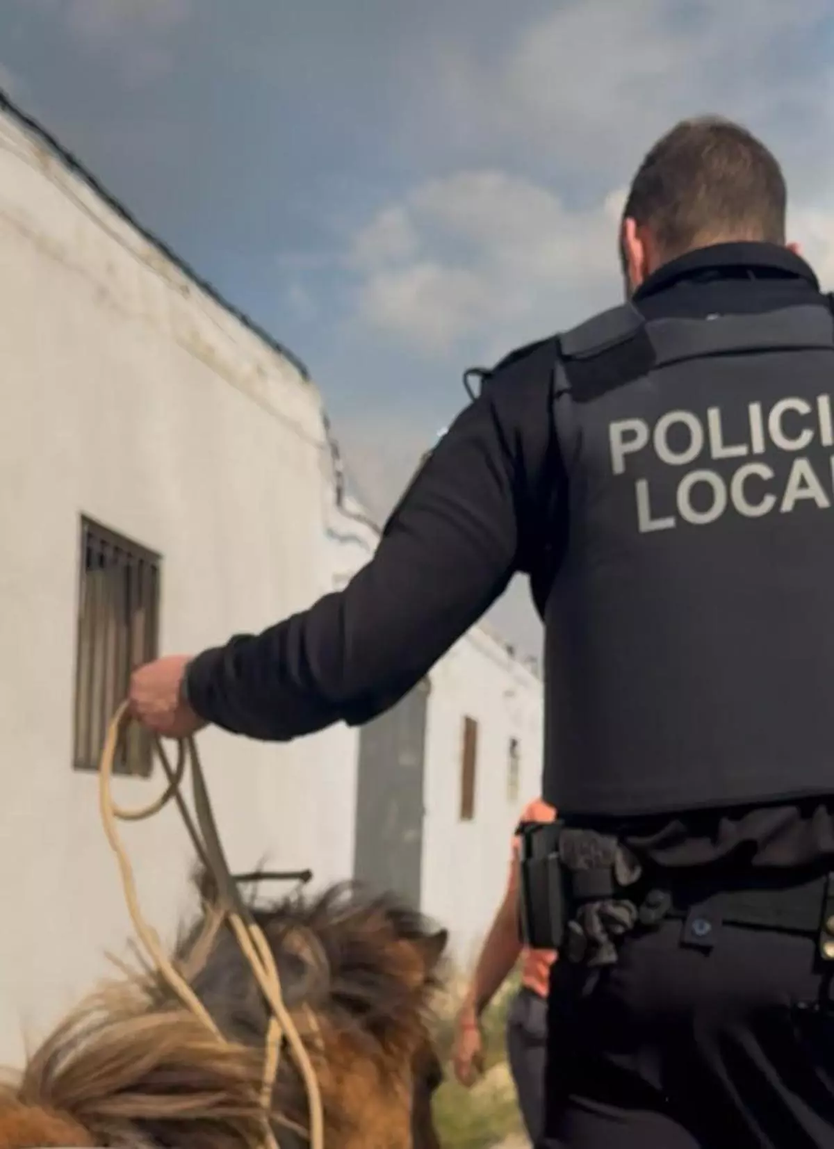 Rescatan del fuego a un grupo de animales en Sueca