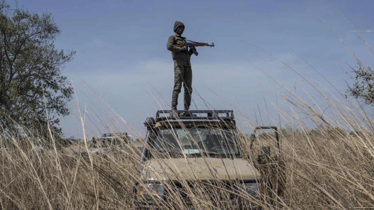 Gihadisme al Sahel i al golf de Guinea