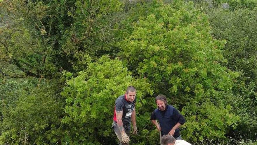 Arqueólogos trabajando en julio en el yacimiento de Tiñana.