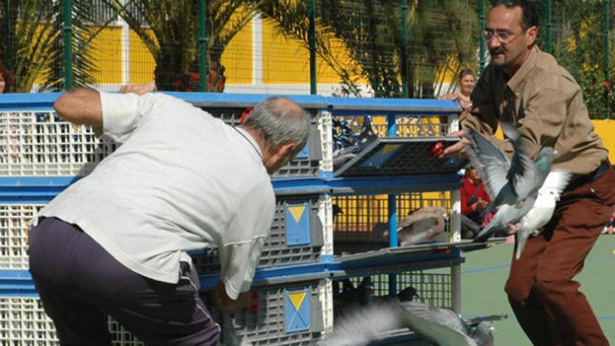 Soltadores liberando palomas en una suelta de entrenamiento. | lp / dlp