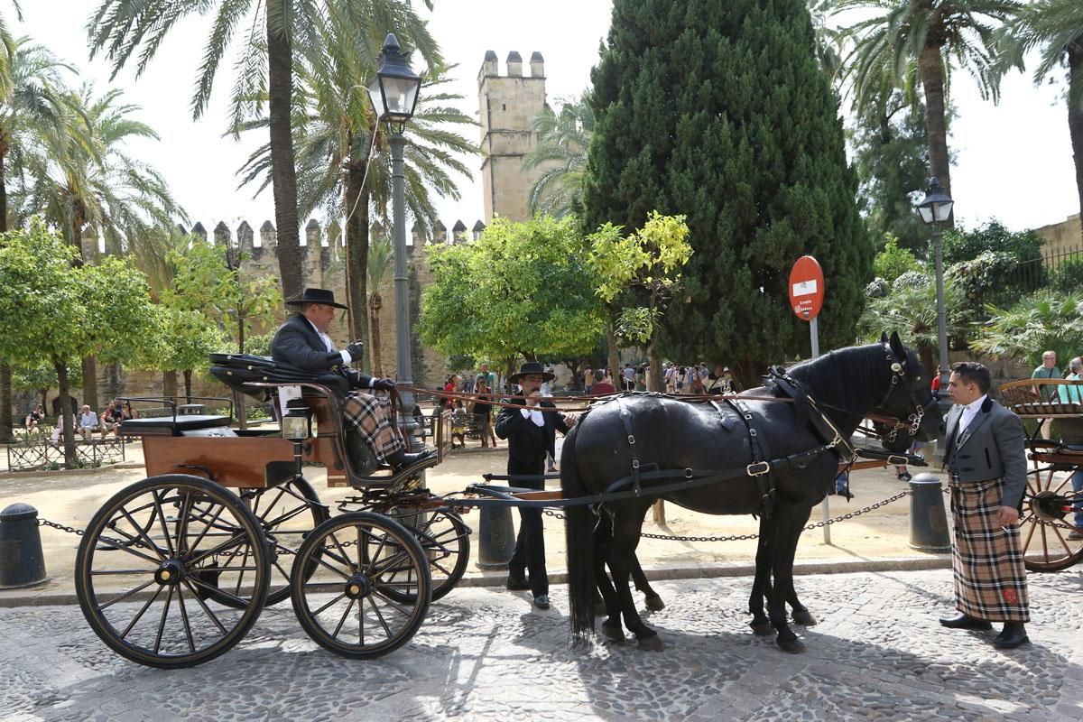 4º Concurso Internacional de Atalaje de Tradición en Cabalcor 2018