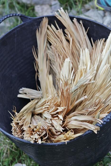 Das in Artà und Capdepera traditionelle Flechten von Palmzweigen ist gar nicht so leicht – und erfordert einen langen Arbeitsprozess.