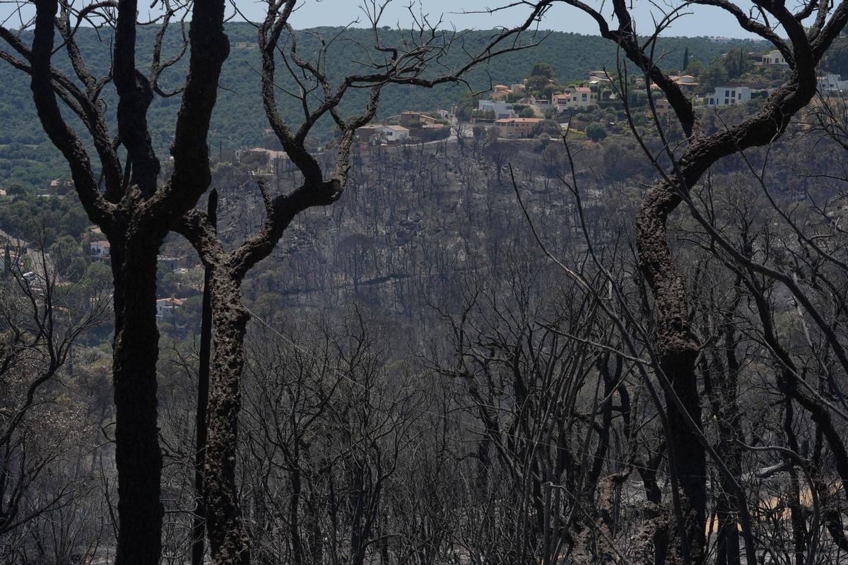 Galeria de fotos: l'incendi de les Gavarres calcina una casa a Calonge Galeria de fotos: l'incendi de les Gavarres calcina una casa a Calonge
