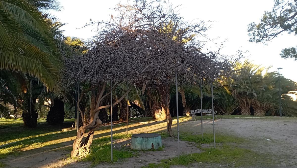 La pérgola de El Cónsul, en la actualidad.