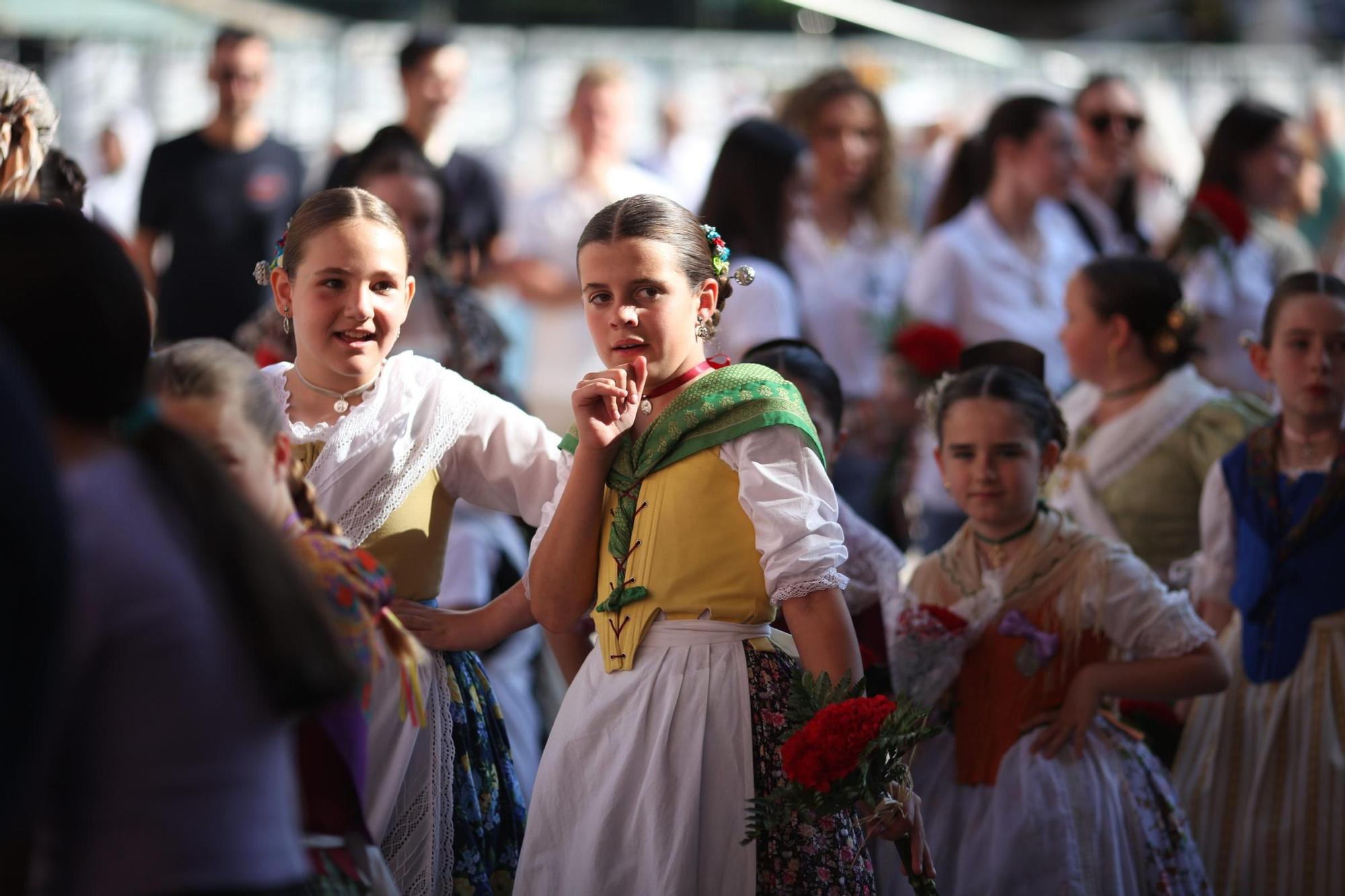 Galeria de fotos de l'ofrena de flors a Sant Pasqual en Vila-real