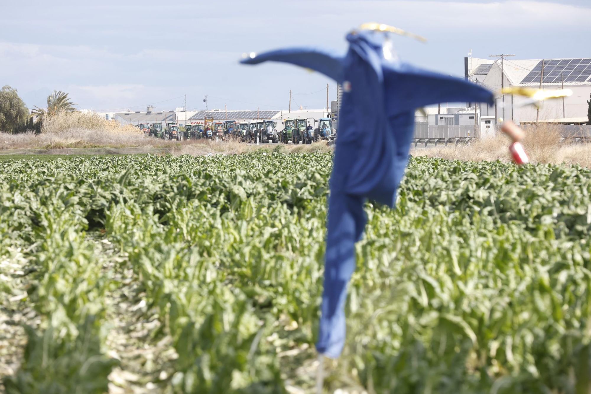 Los agricultores se concentran en tres comarcas de la provincia de Alicante en una tractorada por carreteras secundarias