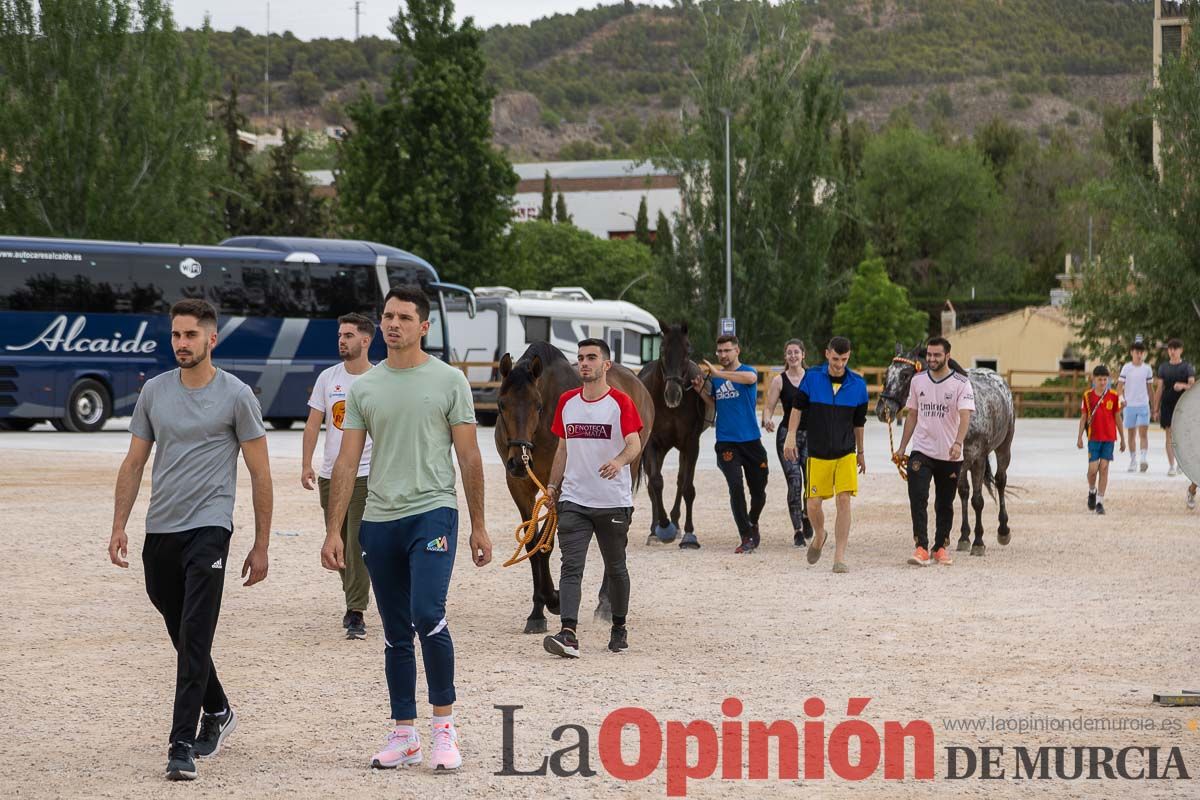 Control veterinario de los Caballos del Vino en Caravaca